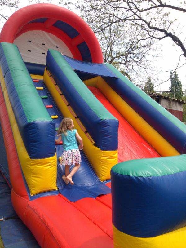 Giant 18 Foot Slide Fun Inflatable Rental - Image 3